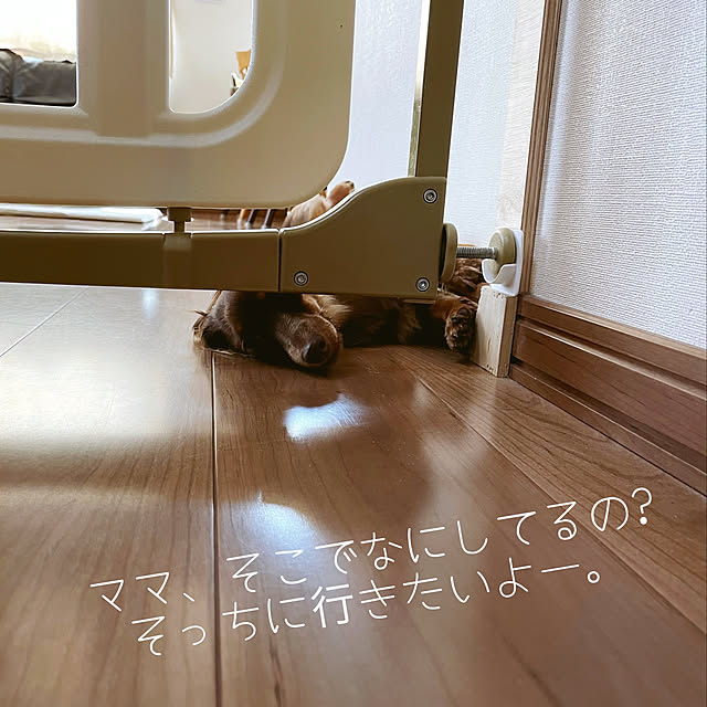 kanaさんの実例写真