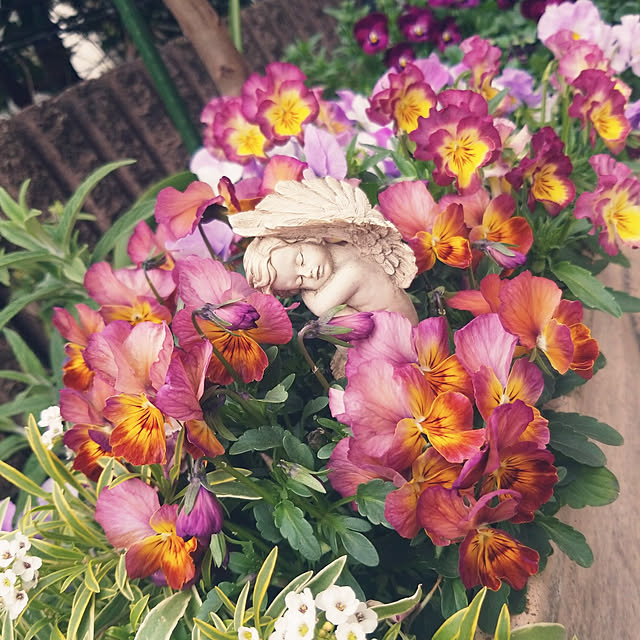 mimi828さんの実例写真