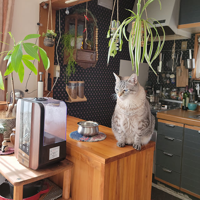 neoさんの実例写真