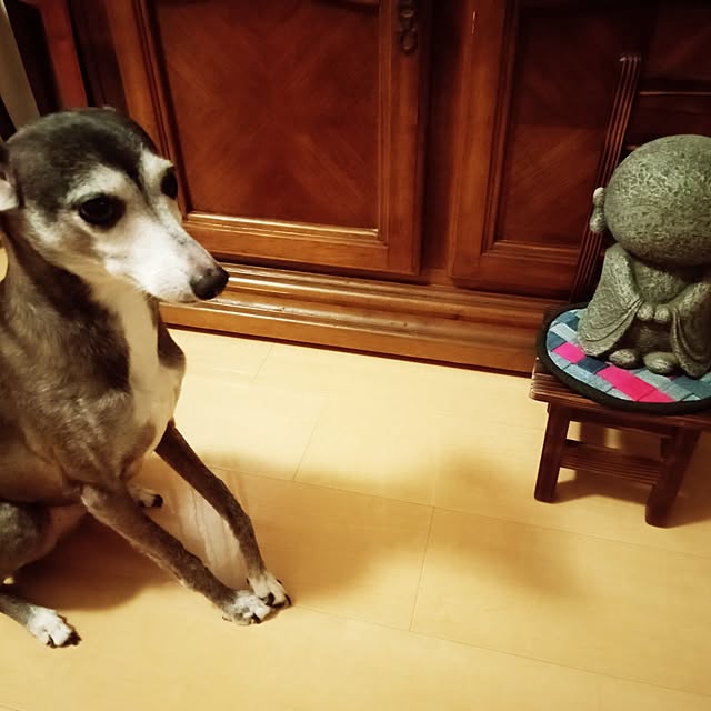 moruさんの部屋