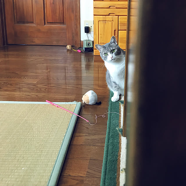 実例写真