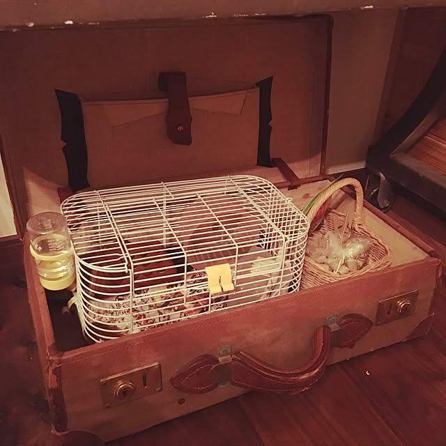 rinppさんの実例写真