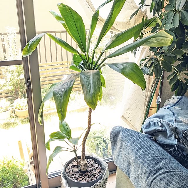 mofukoさんの部屋