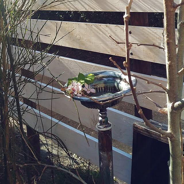 kikusukeさんの実例写真