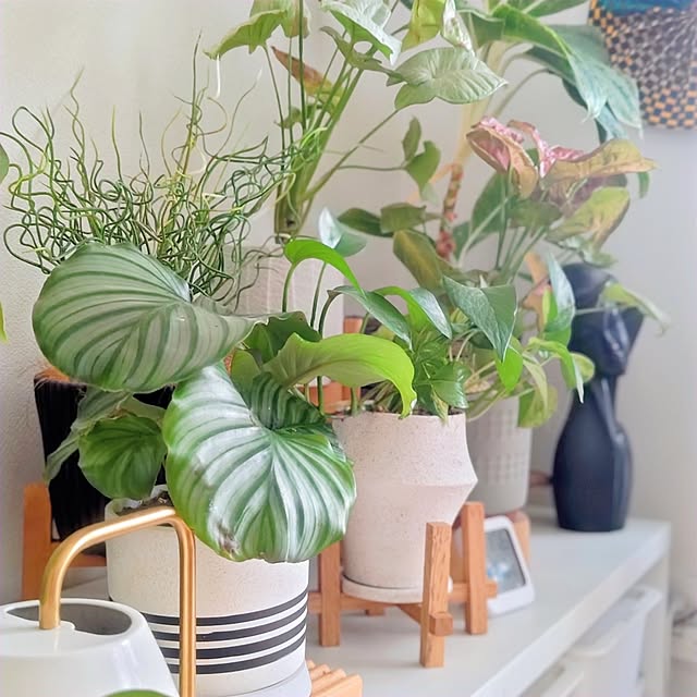 YuriYuriさんの部屋