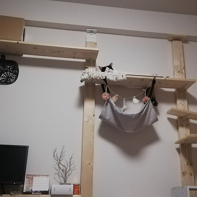 chocoさんの実例写真