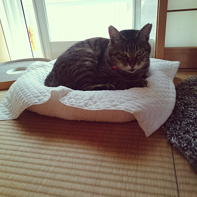 lilyさんの実例写真