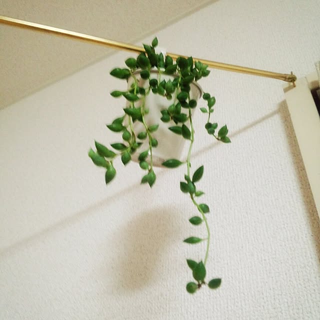 dotlaceさんの実例写真