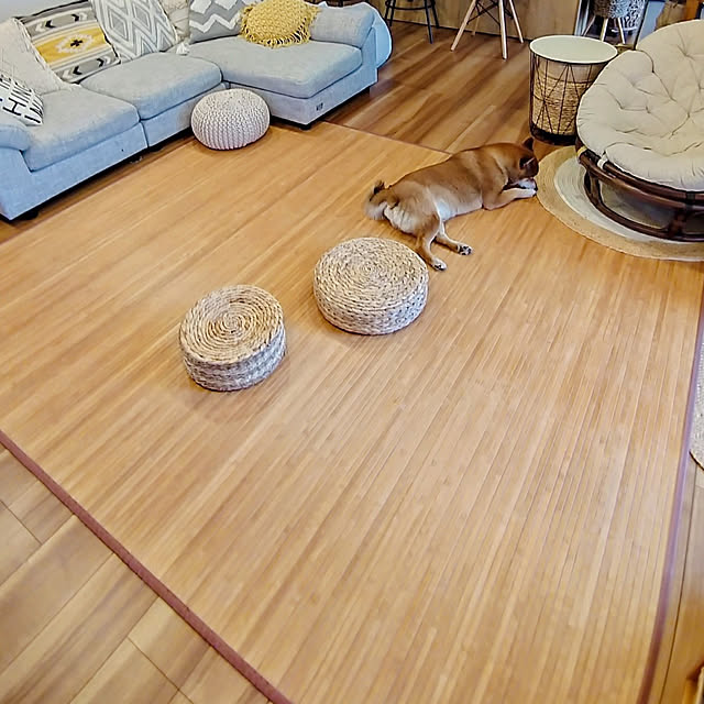 Soraさんの実例写真