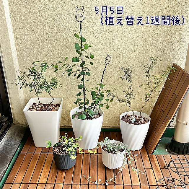 kagomamaさんの部屋