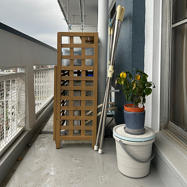 miri_bukkoさんの実例写真