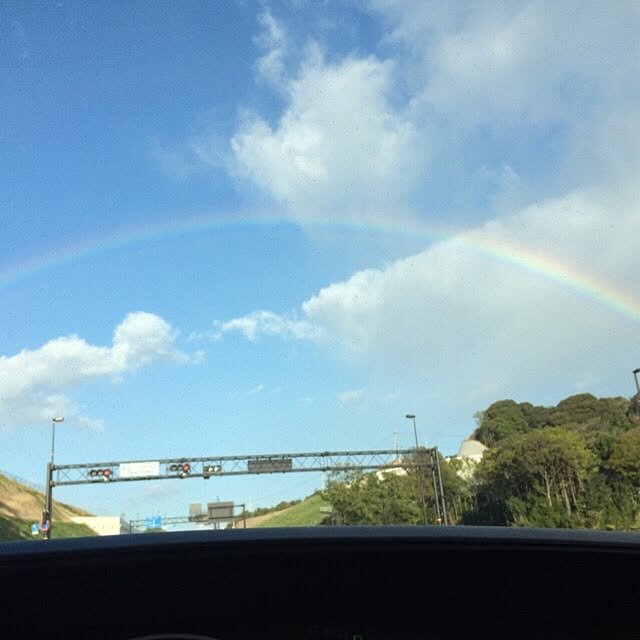 実例写真