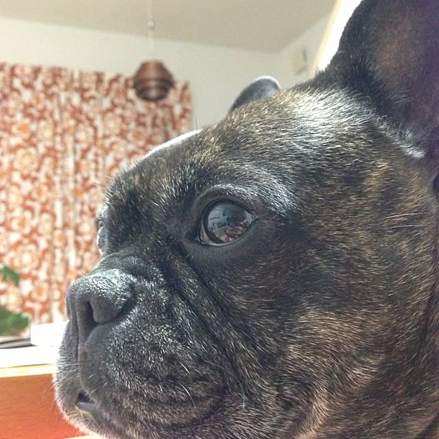 chiekoさんの実例写真