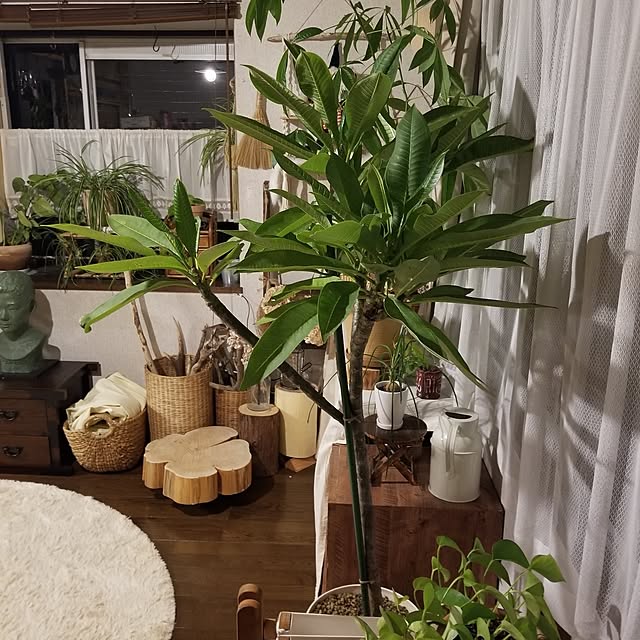 midoriさんの部屋