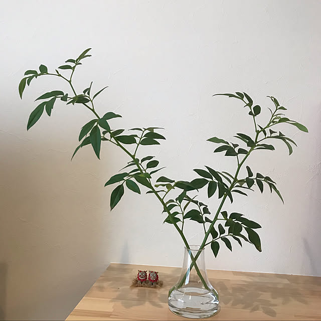 kumitanさんの実例写真