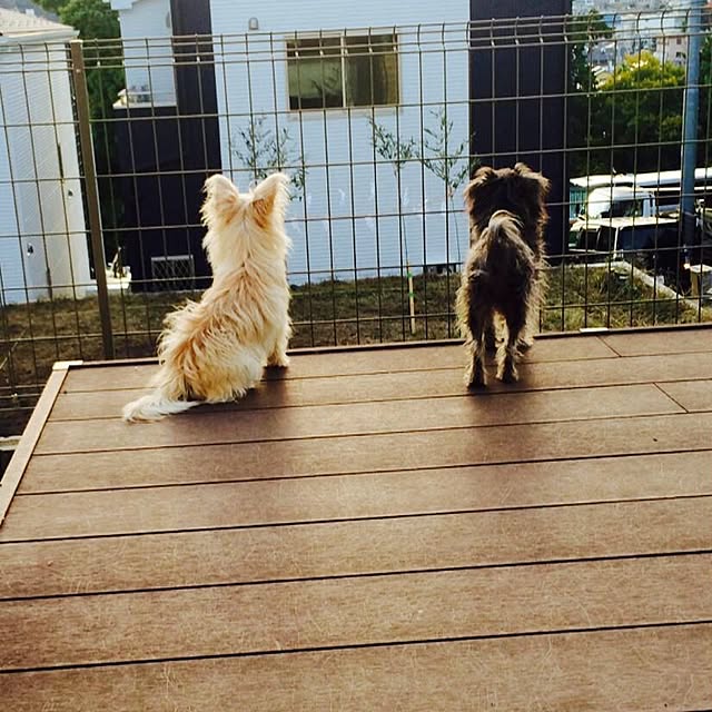 sさんの実例写真