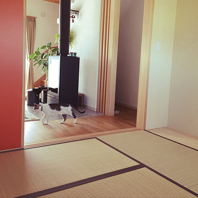 momochiyoさんの実例写真