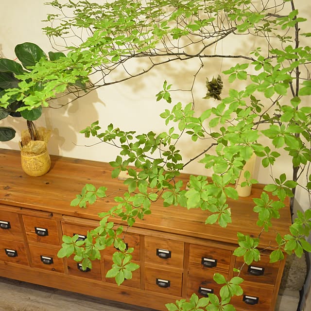 GreenWorksさんの実例写真