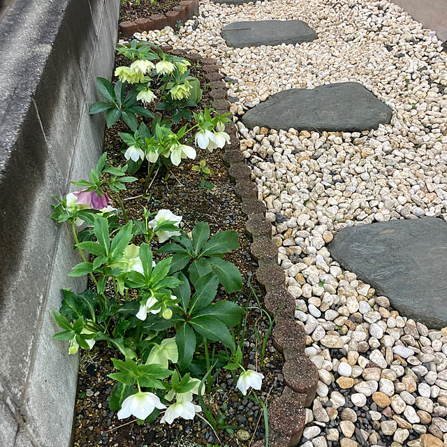 mamaさんの実例写真