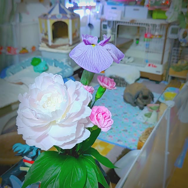 mariaさんの部屋