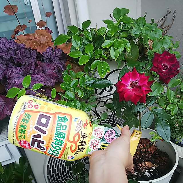 hiromimiさんの実例写真