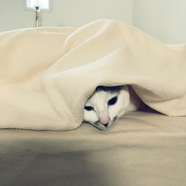 SetsuAnd05さんの実例写真