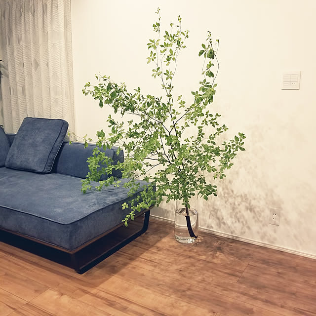 e__homeさんの実例写真