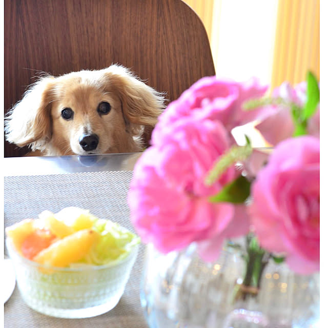 Torteさんの実例写真