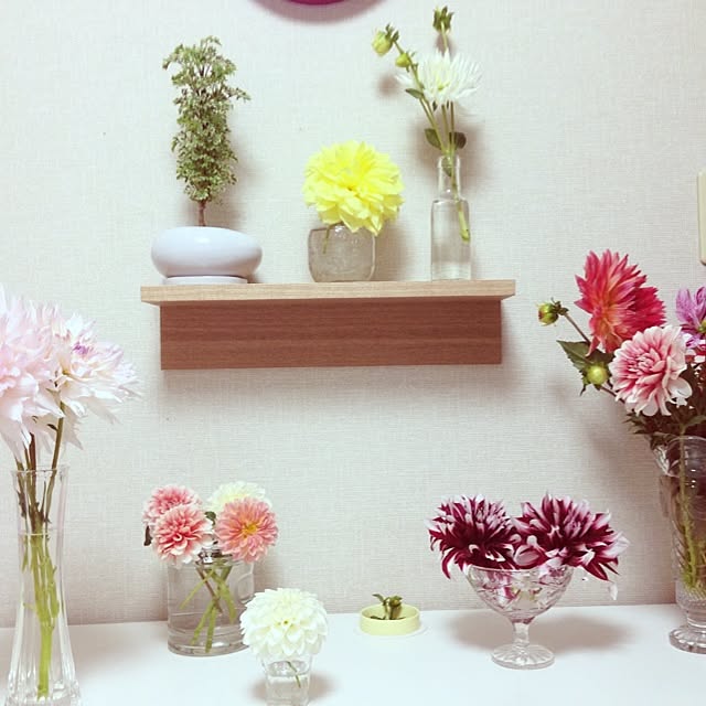 kanariaさんの実例写真