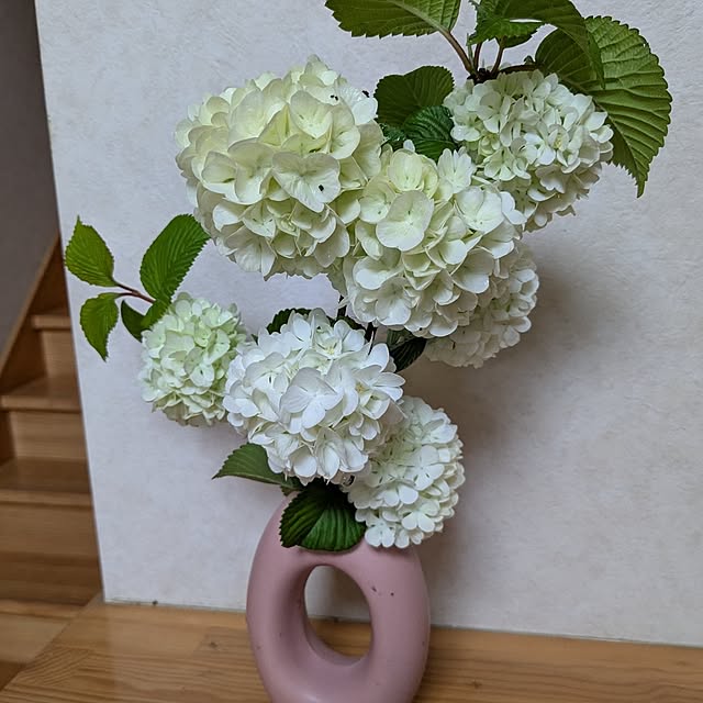 kouheiyuto24623takaさんの部屋