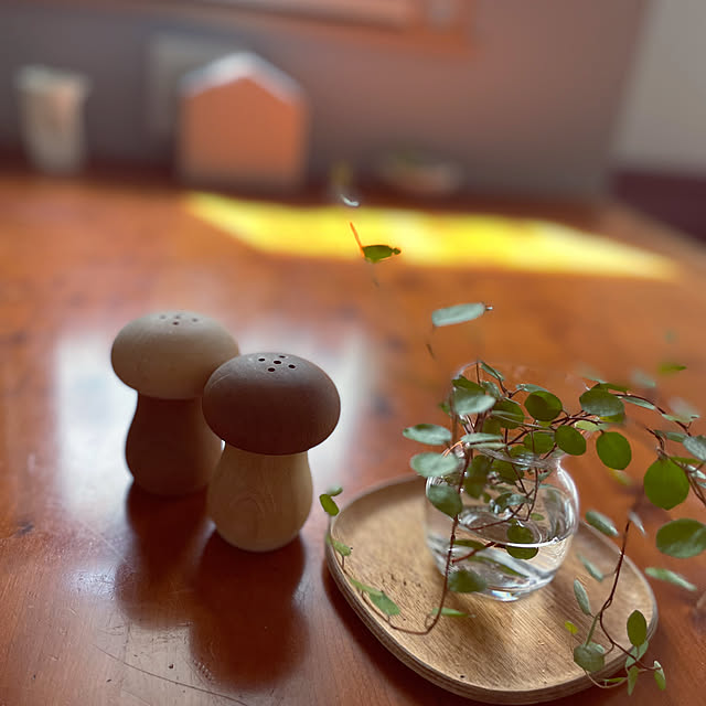 cheeseさんの部屋