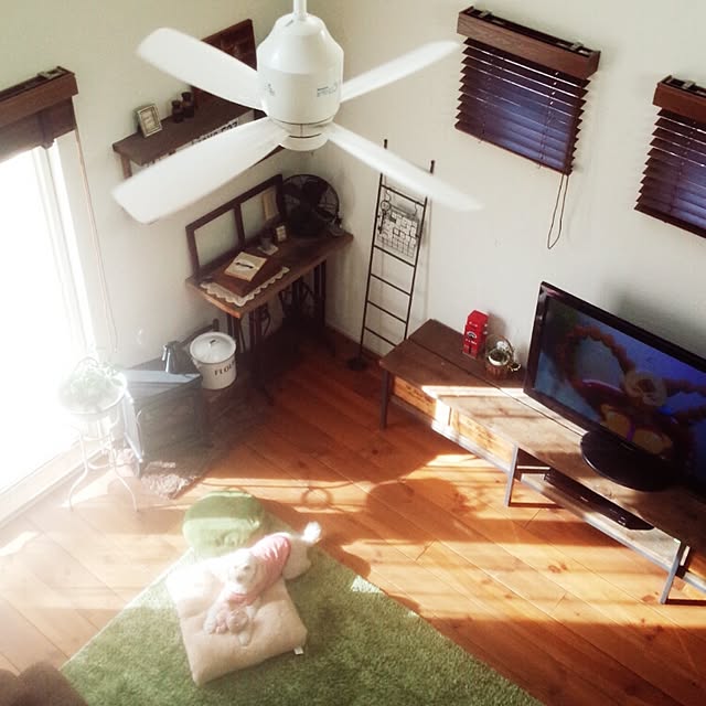 misaさんの実例写真