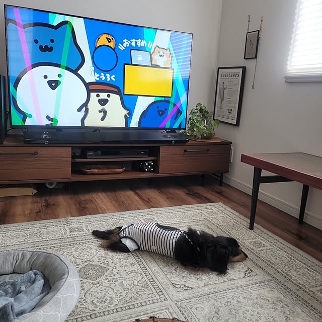 pocoさんの実例写真