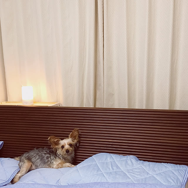 yrsnさんの実例写真