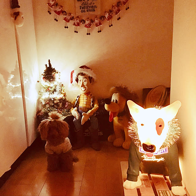 実例写真