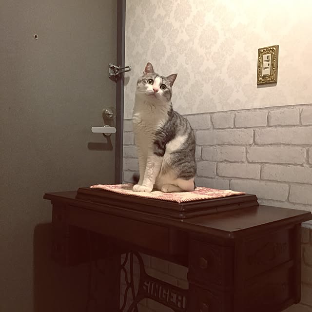 emmyyさんの実例写真