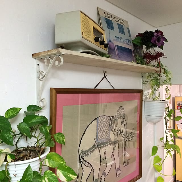 himenekoさんの実例写真