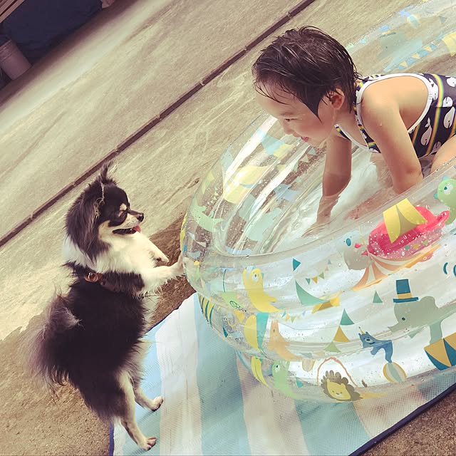 T.makiさんの実例写真