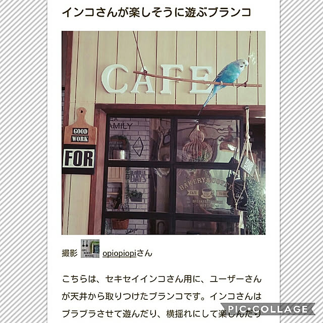 opiopiopiさんの実例写真