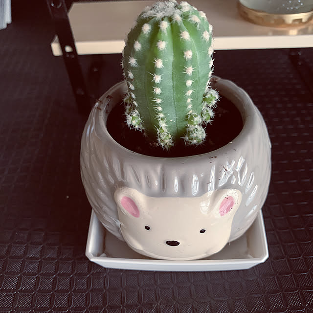 ayuminさんの実例写真