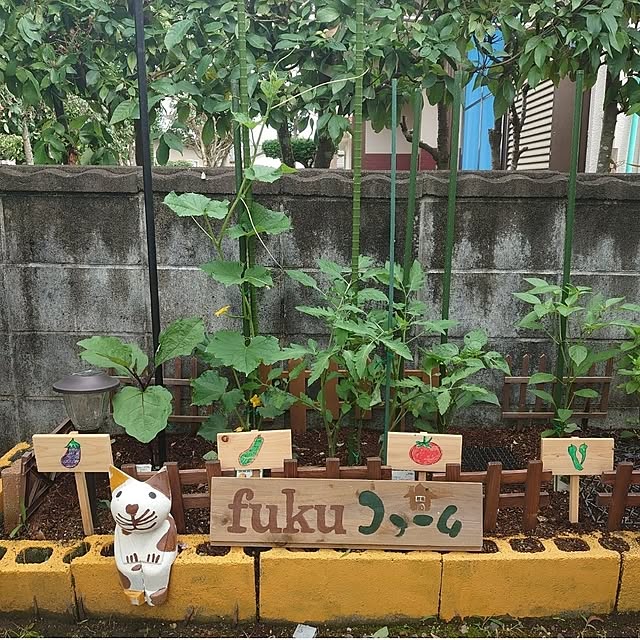 fukuさんの実例写真
