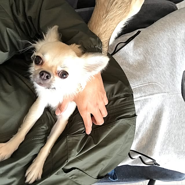 gentaさんの実例写真