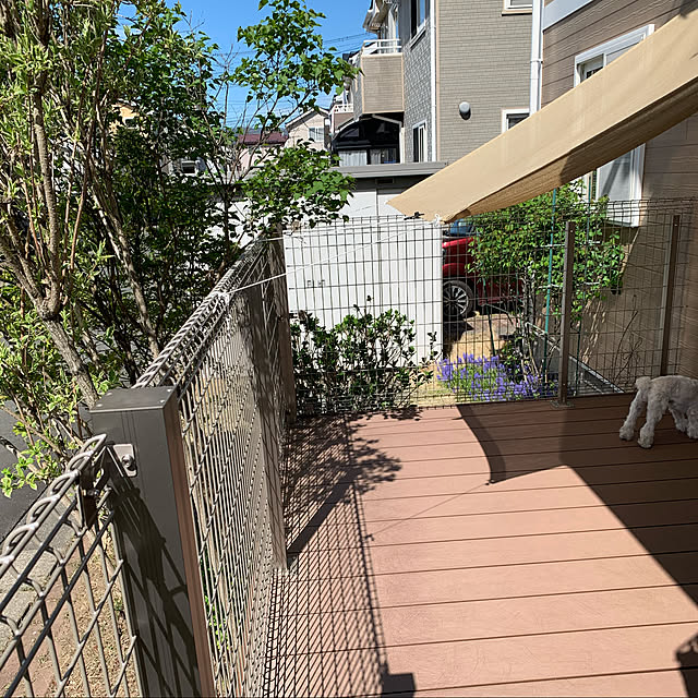 Mahoさんの実例写真