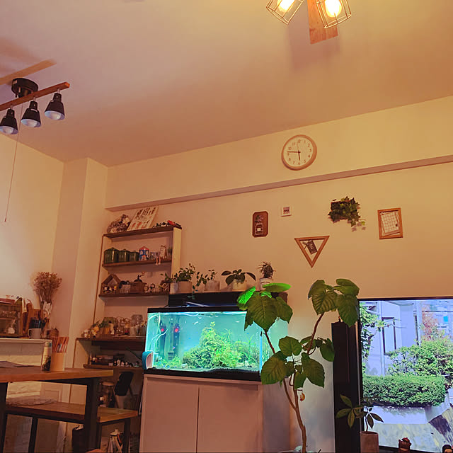 観葉植物/カフェ風/ハンドメイド/リビングのインテリア実例 - 2020-11-08 05:47:49