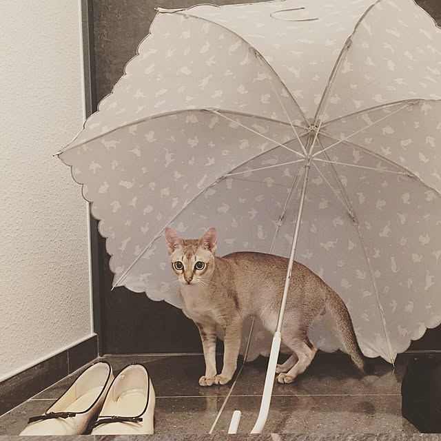 a-mkさんの実例写真