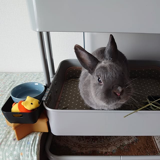 kirariさんの実例写真