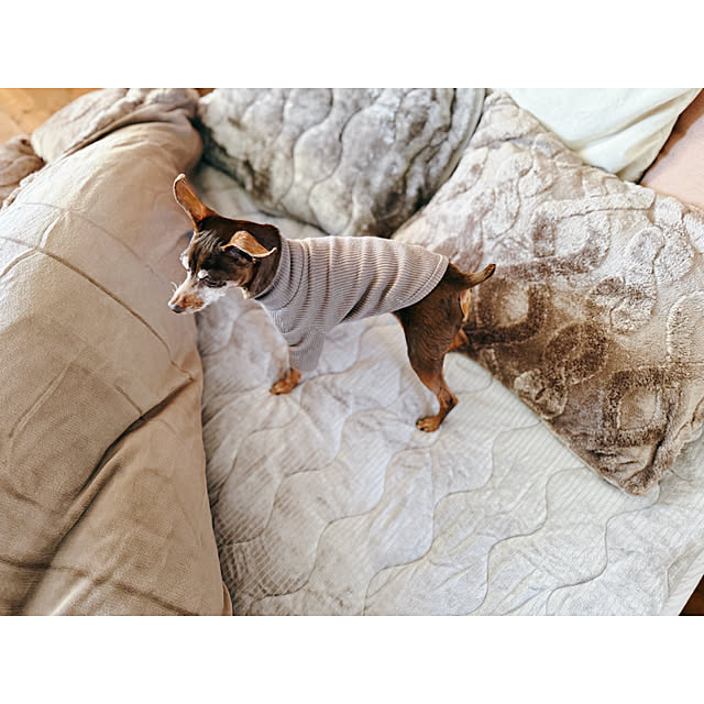 Reiyaさんの部屋