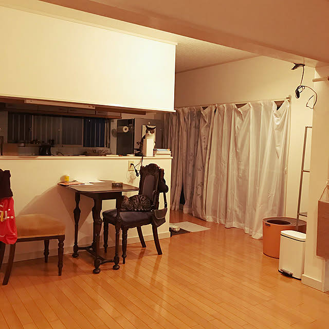 gataさんの実例写真