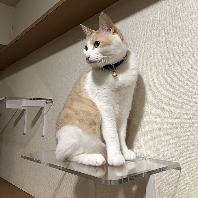 naworinさんの実例写真