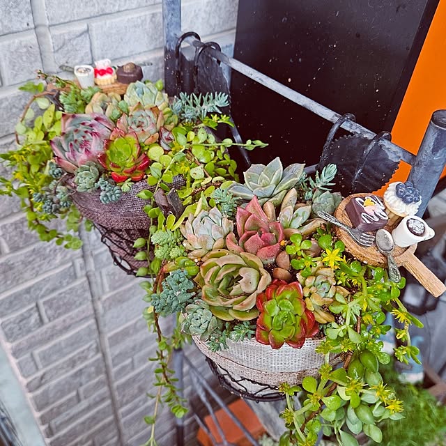 mocomocoさんの部屋